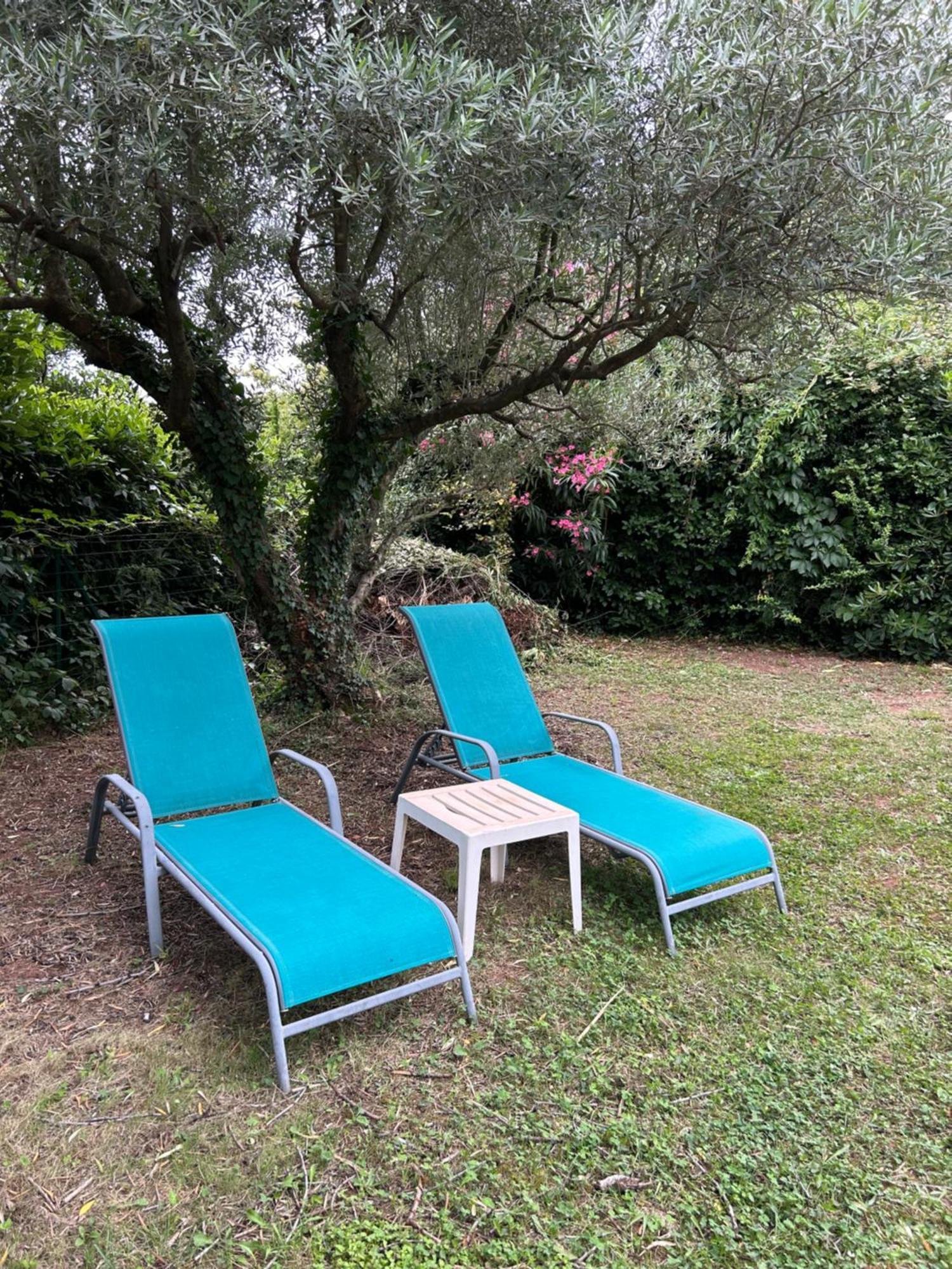 Dans Dependance Avec Sdb Privee Homestay